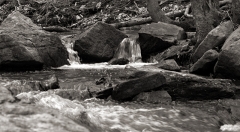 The River B&W